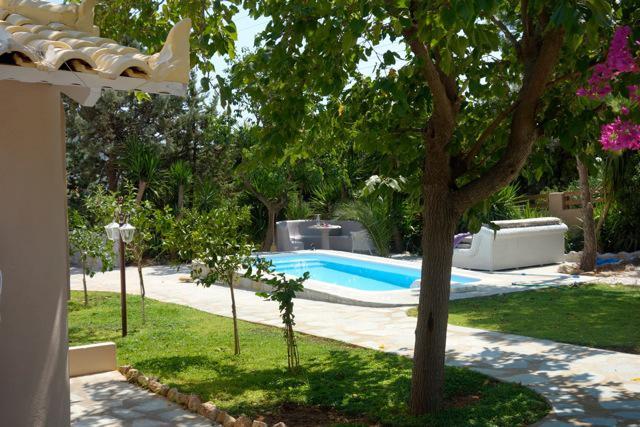 Villa Dendron Agia Marina  外观 照片