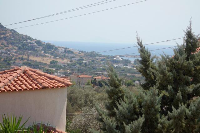 Villa Dendron Agia Marina  外观 照片
